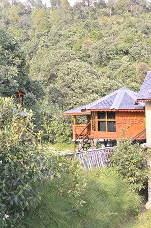 Cabaña básica, 1 cama Queen size, vista a la colina | Exterior