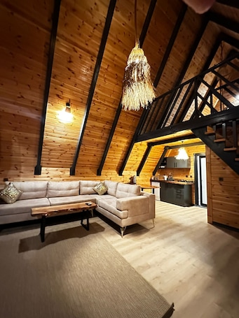 Frigobar, plancha de cocina, utensilios de cocina