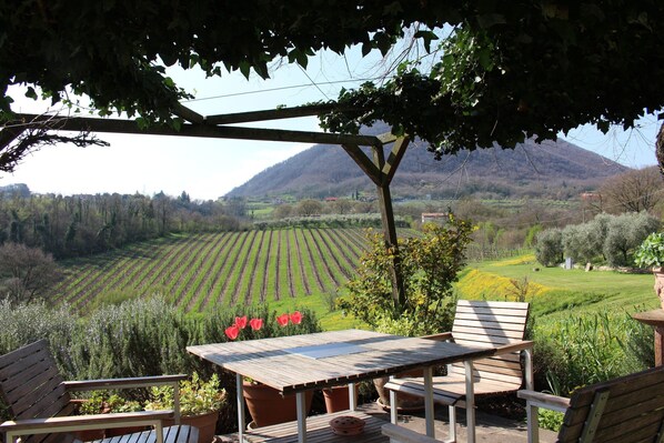 Casa Confort, 1 habitación | Restaurante al aire libre