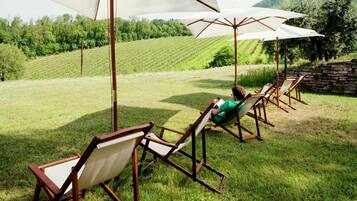 Comfort House, 1 Bedroom | Property grounds