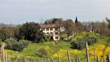 Comfort House, 1 Bedroom | Exterior