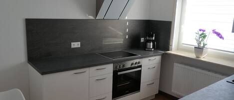 Frigorífico, microondas, horno y placa de cocina