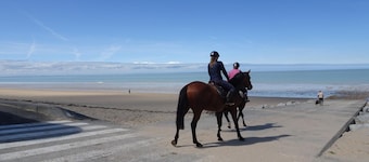 Holiday Home in Normandy near Sandy Beach