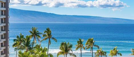Una spiaggia nelle vicinanze