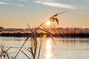 Unclassified image, 4 of 49, button