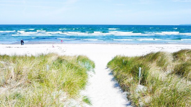 Ein Strandweg führt zum Meer, begleitet von grasbewachsenen Dünen auf beiden Seiten.