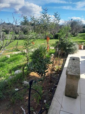 Property grounds - Villa Maresca- countryside house in Carovigno (Puglia)