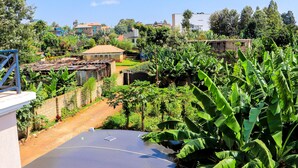 A residential area with a paved driveway, a house with a tiled roof, and lush greenery including banana plants. - Haven Suites Airbnb Meru (Meru)