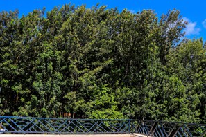 View from property - Haven Suites Airbnb Meru (Meru)