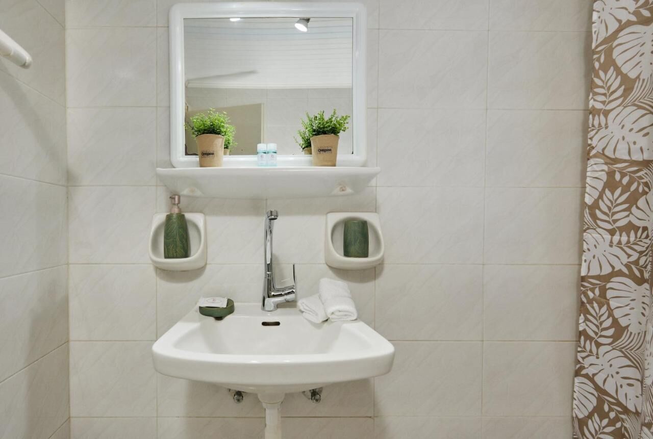 A bathroom with a white sink, a mirror, and two potted plants on the shelf above the sink.