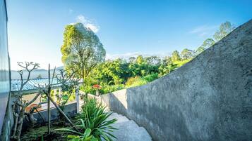 Un estrecho sendero que conduce a un exuberante jardín con diversas plantas y un gran árbol.