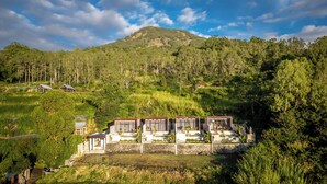 Un moderno resort con varias villas, cada una con piscina privada y rodeada de exuberante vegetación.
