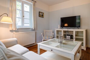 Télévision, cheminée, chaßne hi-fi