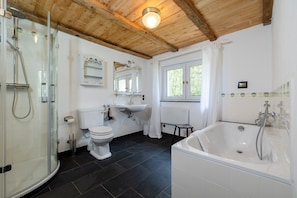 Shower, hair dryer - The idyllic country house Möhlend on Ummanz (Waase)