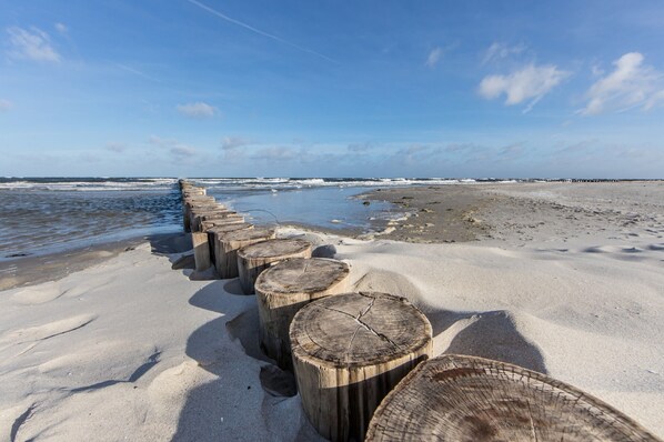 Nära stranden