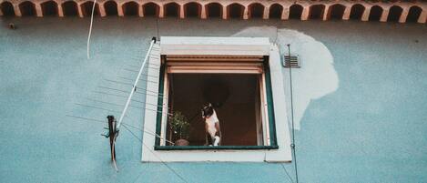Desayuno bufé gratuito y diario