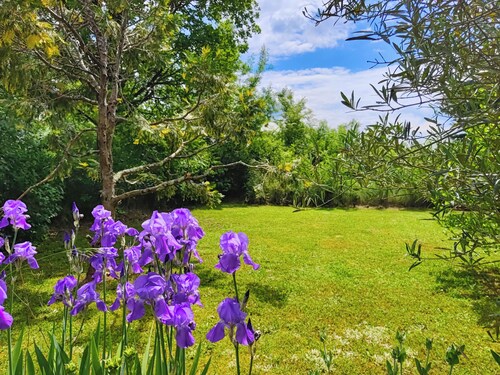 Gite Bacquiès - Ferme et grange restaurée avec jardin clos et piscine  chauffée