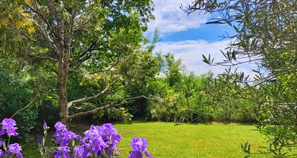 Gite BacquiÚs - Ferme et grange restaurée avec jardin clos et piscine chauffée