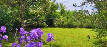 Gite Bacquiès - with enclosed garden and heated swimming pool