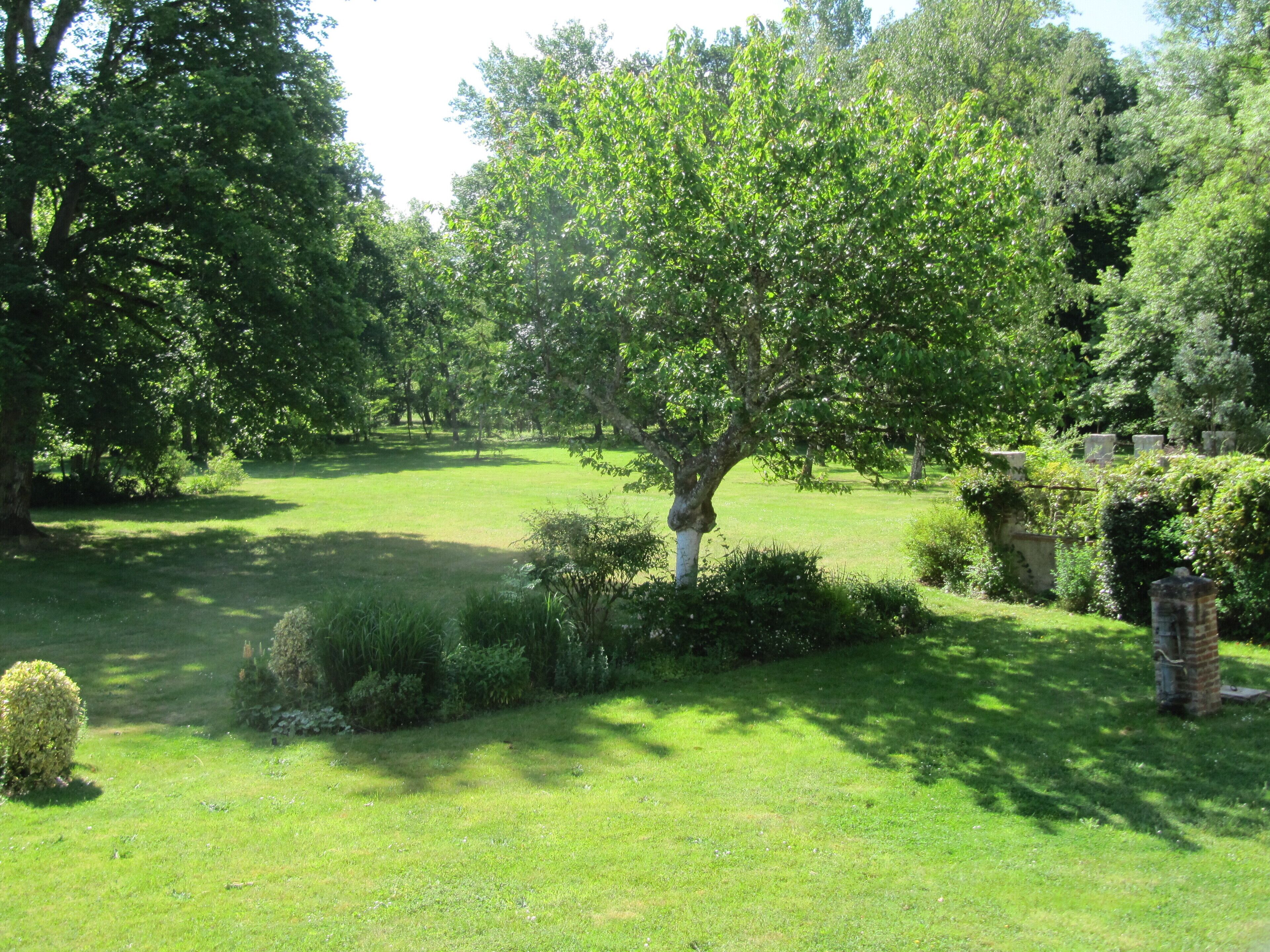 A well-maintained garden with a variety of trees and shrubs, a clear path, and a stone wall.