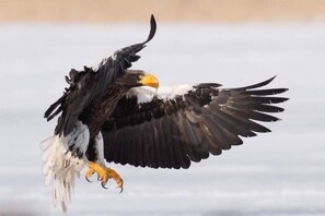 Uitzicht vanuit de kamer