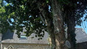 A stone building with a stone chimney, a wooden bench, and a palm tree in the yard. - Typical Breton house "Ty Breizh" Beg Meil Fouesnant plage des oiseaux (Fouesnant)