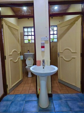 Shower, towels, soap, toilet paper