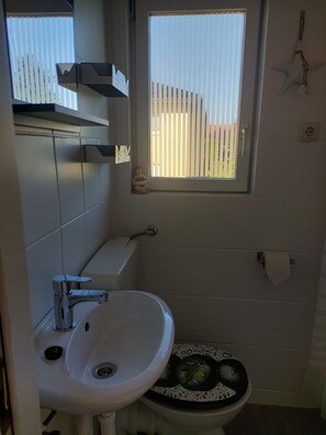 Regadera y papel de baño