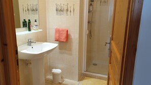Shower, hair dryer, soap, toilet paper
