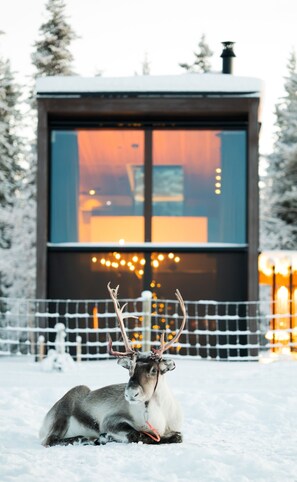 المنشأة من الخارج