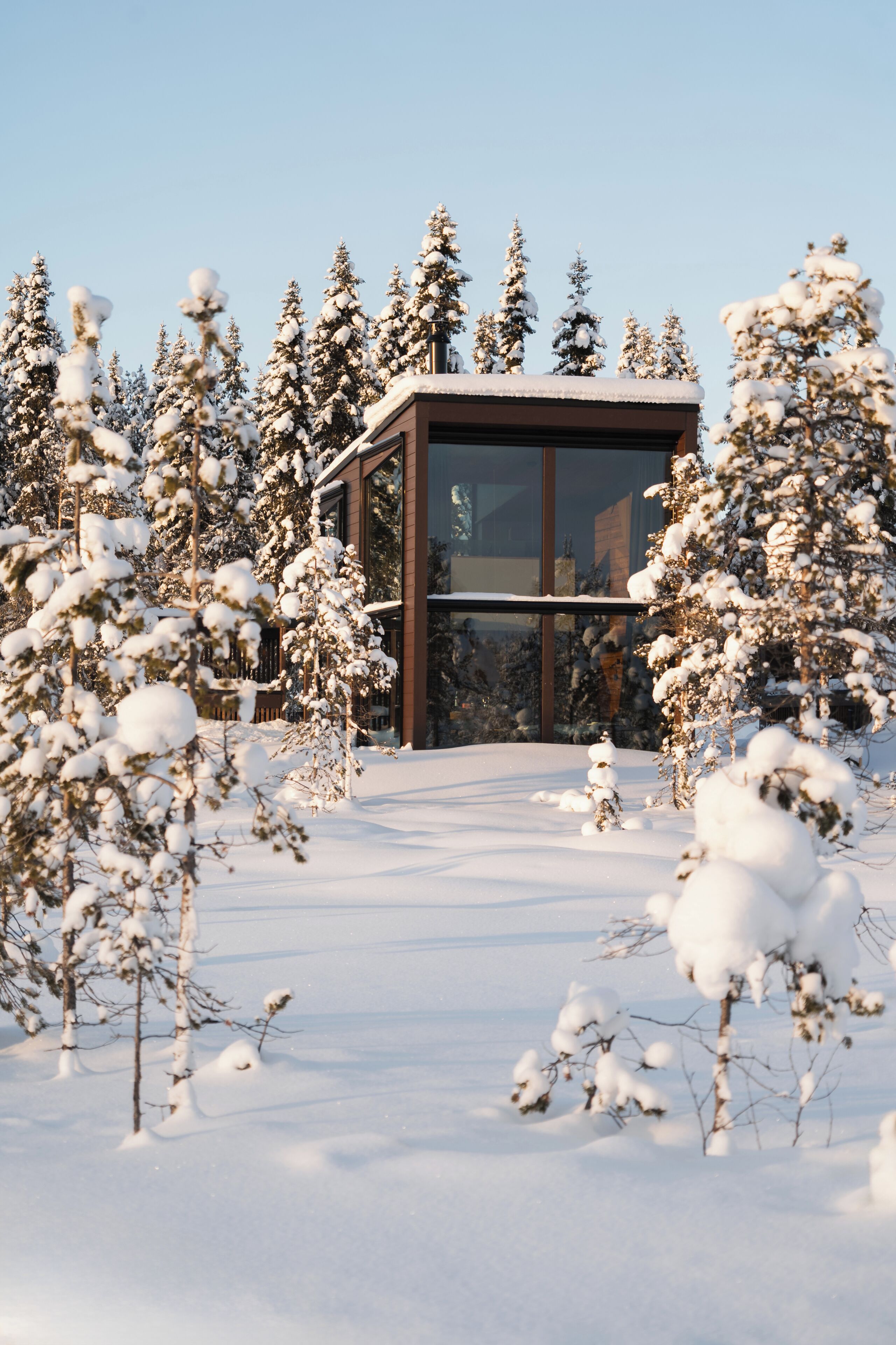 Un bâtiment moderne entouré d’arbres couverts de neige.