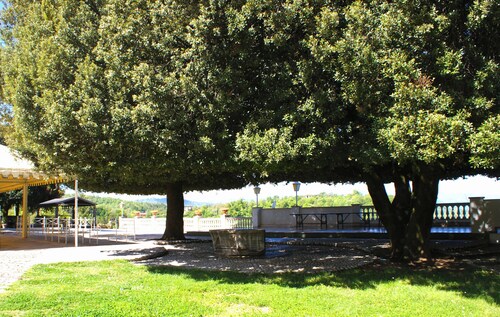 B&B Il Leccio Subiaco exclusive residence a stone's throw from Rome