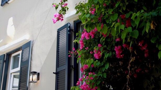 Un edificio de fachada clara, con persianas oscuras y una ventana con una maceta colgante de flores.