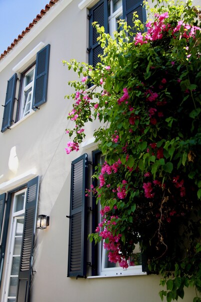 19th century lovely villa with garden