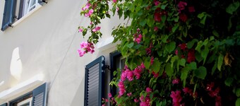 19th century lovely villa with garden