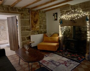 Smart TV, fireplace, books