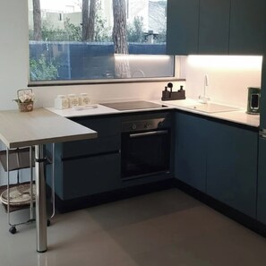 Fridge, oven, stovetop, dishwasher