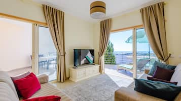 Smart TV, DVD player, books, video library