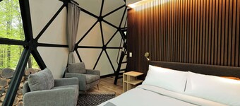 Large, luxurious geodesic dome - 09