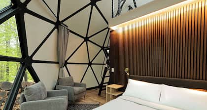 Large, luxurious geodesic dome - 09