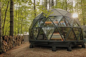 Property grounds - Large, luxurious geodesic dome - 09 (Freeport)