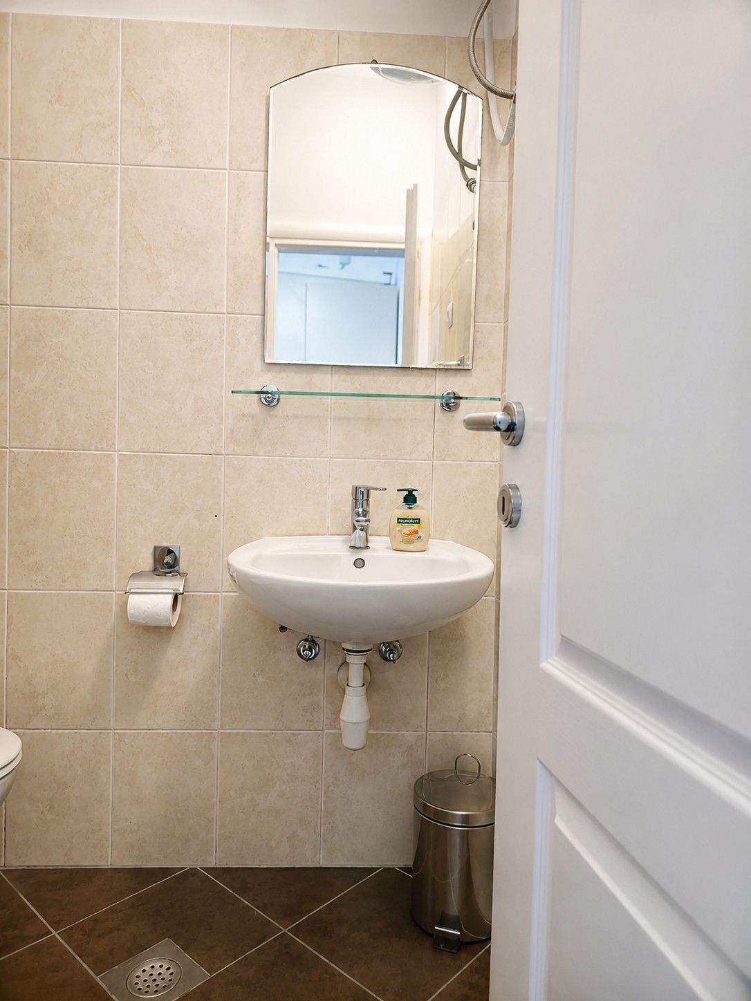 A bathroom with a white sink, a mirror above it, a toilet paper holder, and a trash can.