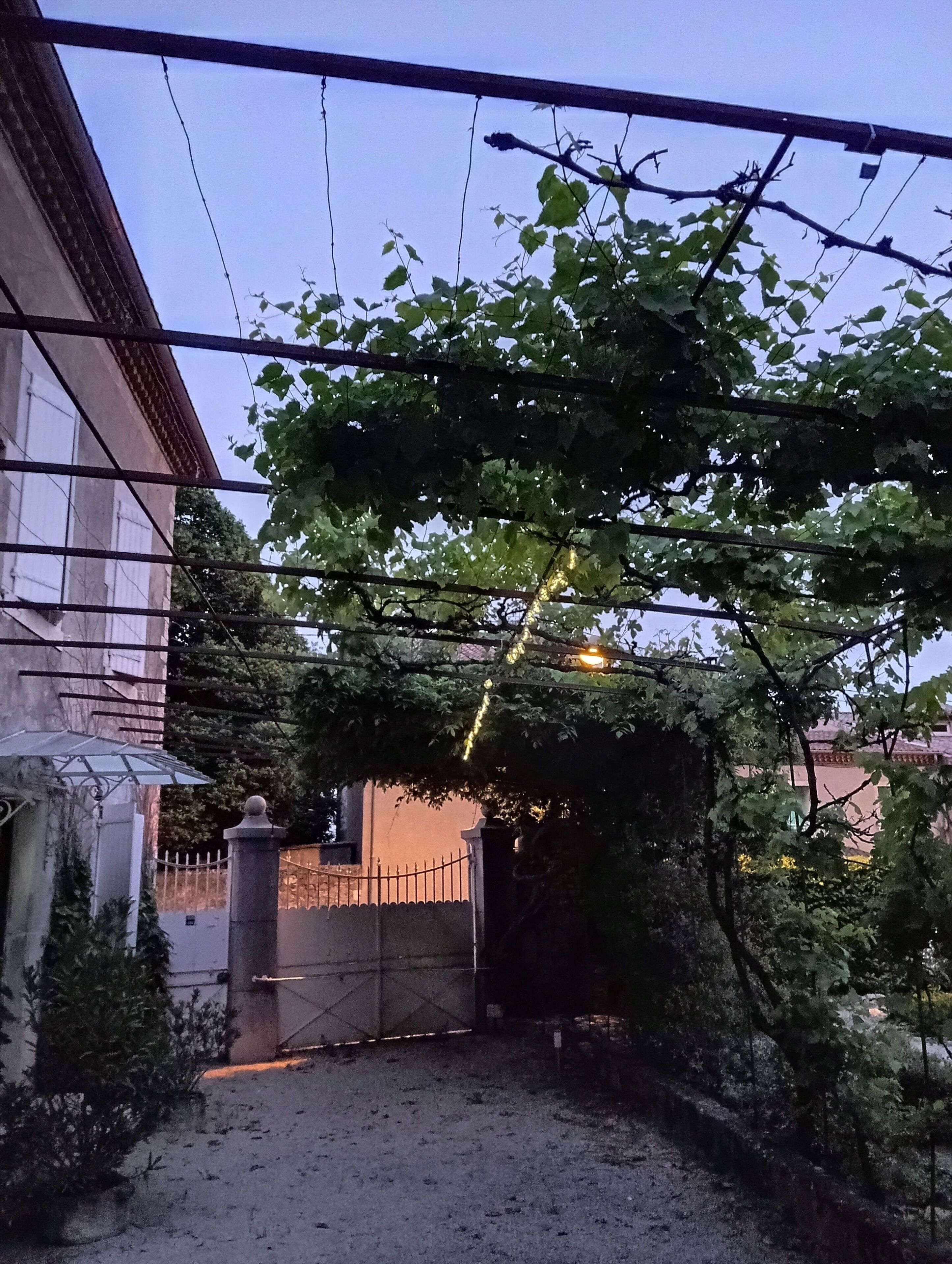 Uma entrada protegida por um portão de metal, um pilar de concreto e uma árvore com folhas verdes.