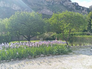 Property grounds - Charming spacious house (Guilherand-Granges)