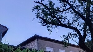 Een gebouw met een stenen gevel en een pannendak, omringd door bomen en een met klimplanten begroeide pergola.