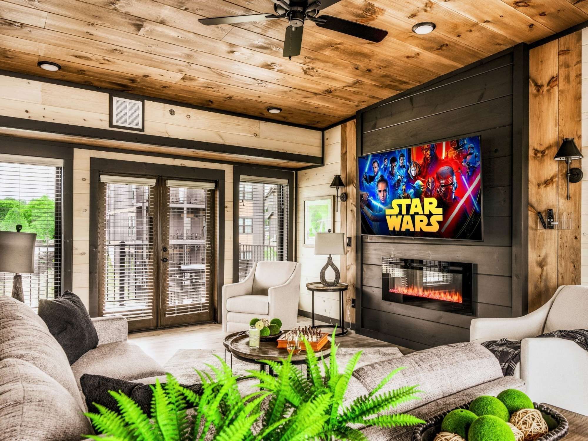 TV, fireplace, video games, DVD player