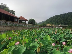 Front of property - Khu du lich khoang nong UVA (Dien Bien)