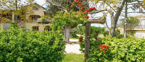 A garden pathway leading to a wooden pergola adorned with red flowers, surrounded by lush greenery and a house in the background.