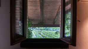 A room with a wooden ceiling and a window with open shutters, offering a view of a vineyard. - Cosy apartment for 4 people with A/C, WIFI, pool, TV, patio and pets allowed (Città Sant'angelo)