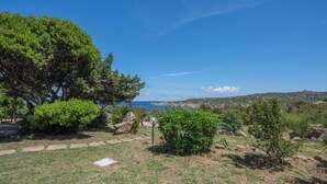 A grassy area with a large tree, a small bush, and a rocky landscape in the background. - Casa Corsara (Santa Teresa di Gallura)